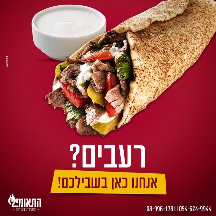 פוסט של התאומים